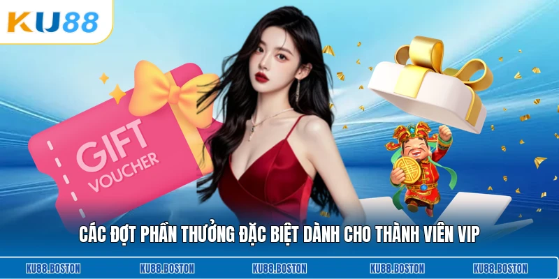 Các đợt phần thưởng đặc biệt dành cho thành viên VIP